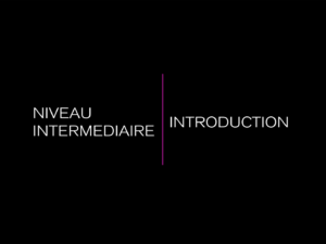 INTER INTRODUCTION POLE INTERMEDIAIRE