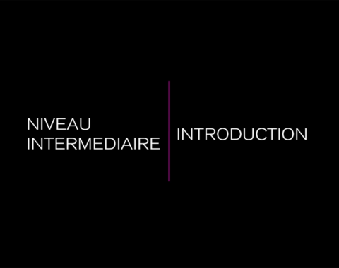 INTER INTRODUCTION POLE INTERMEDIAIRE